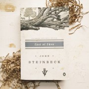 Processed with VSCO with s6 preset