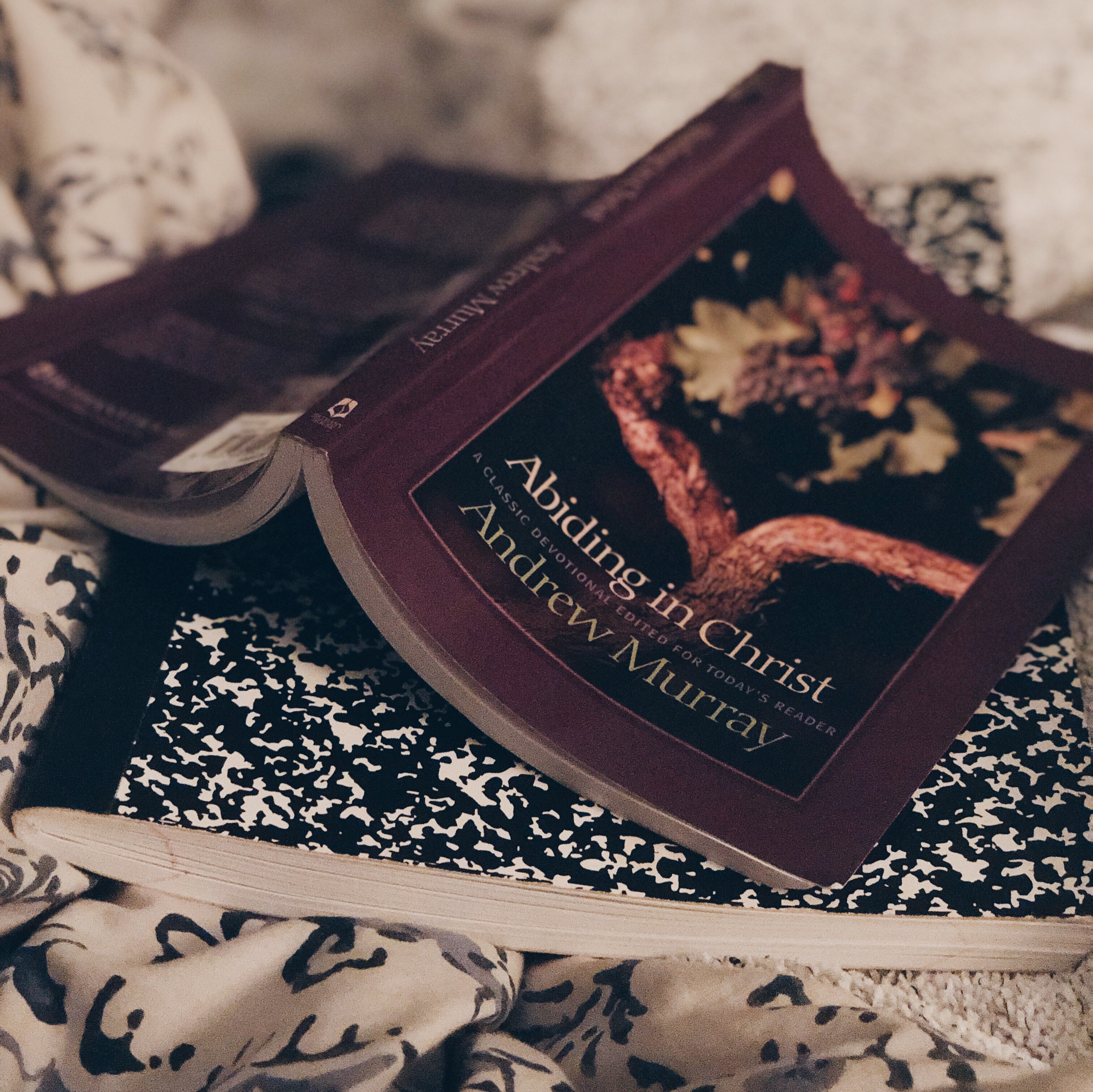 Abiding in Christ by Andrew Murray